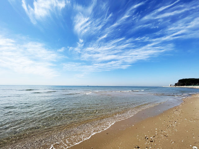 知多半島山海保養所　近くの海岸